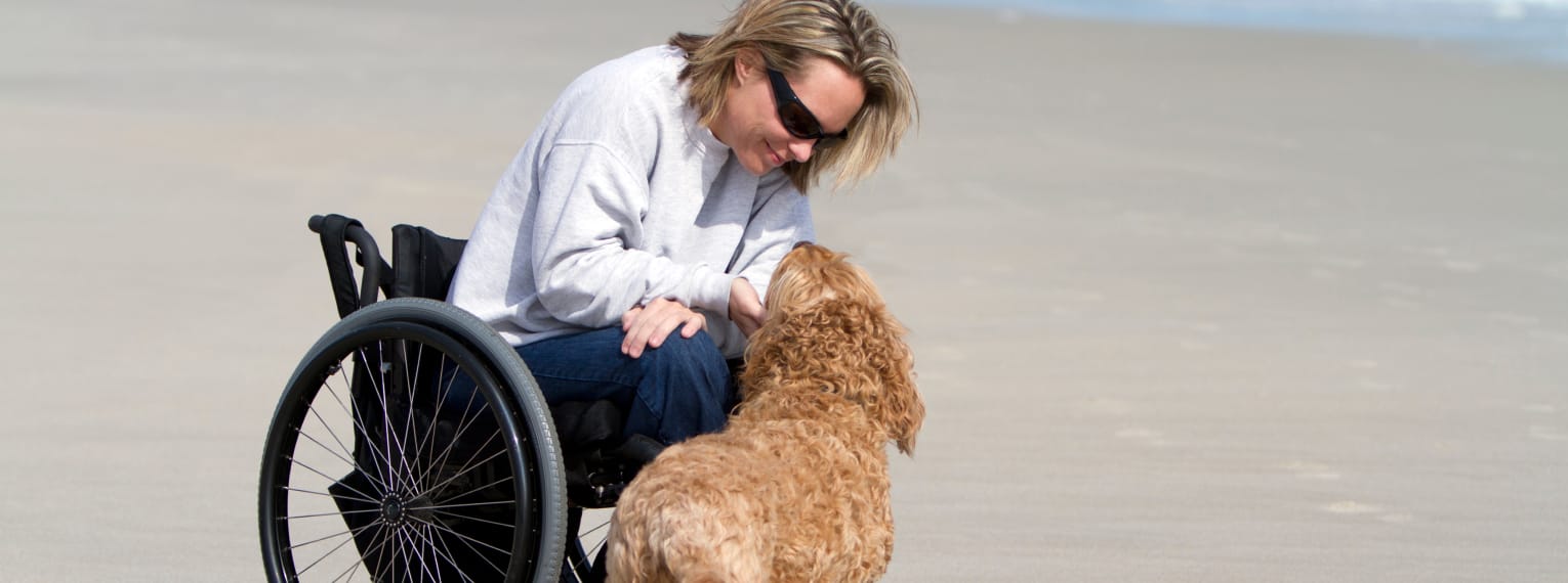 Ein Assitenzhund ist am Strand mit seinem Frauchen unterwegs.