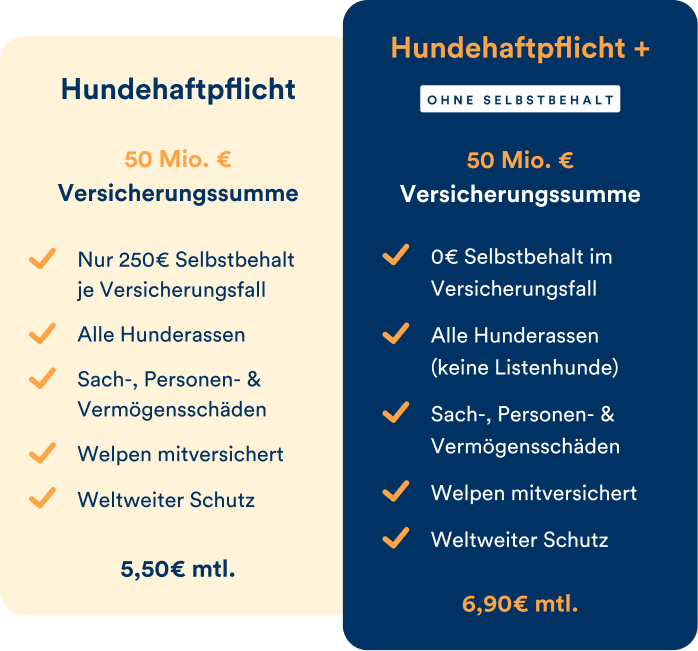 Die Tarife der Hundehaftplfichtversicherung von petolo.