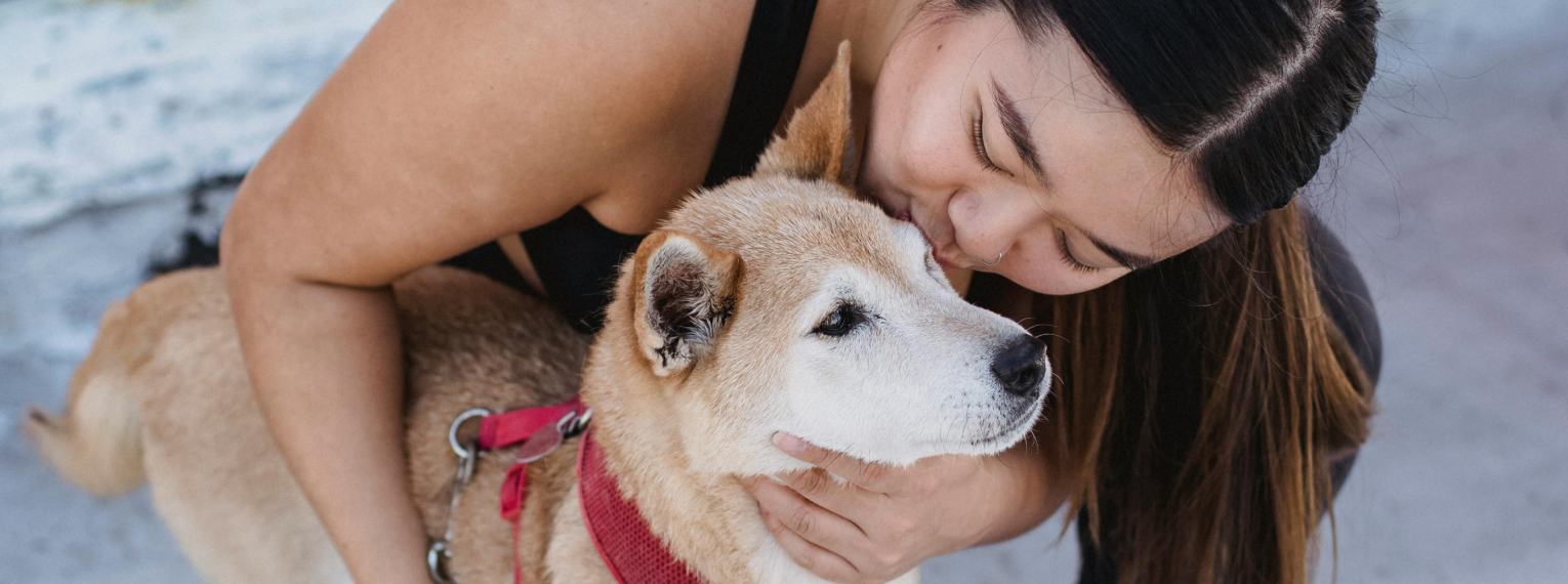 Frauchen gibt ihrem Hund ein Küsschen auf den Kopf.